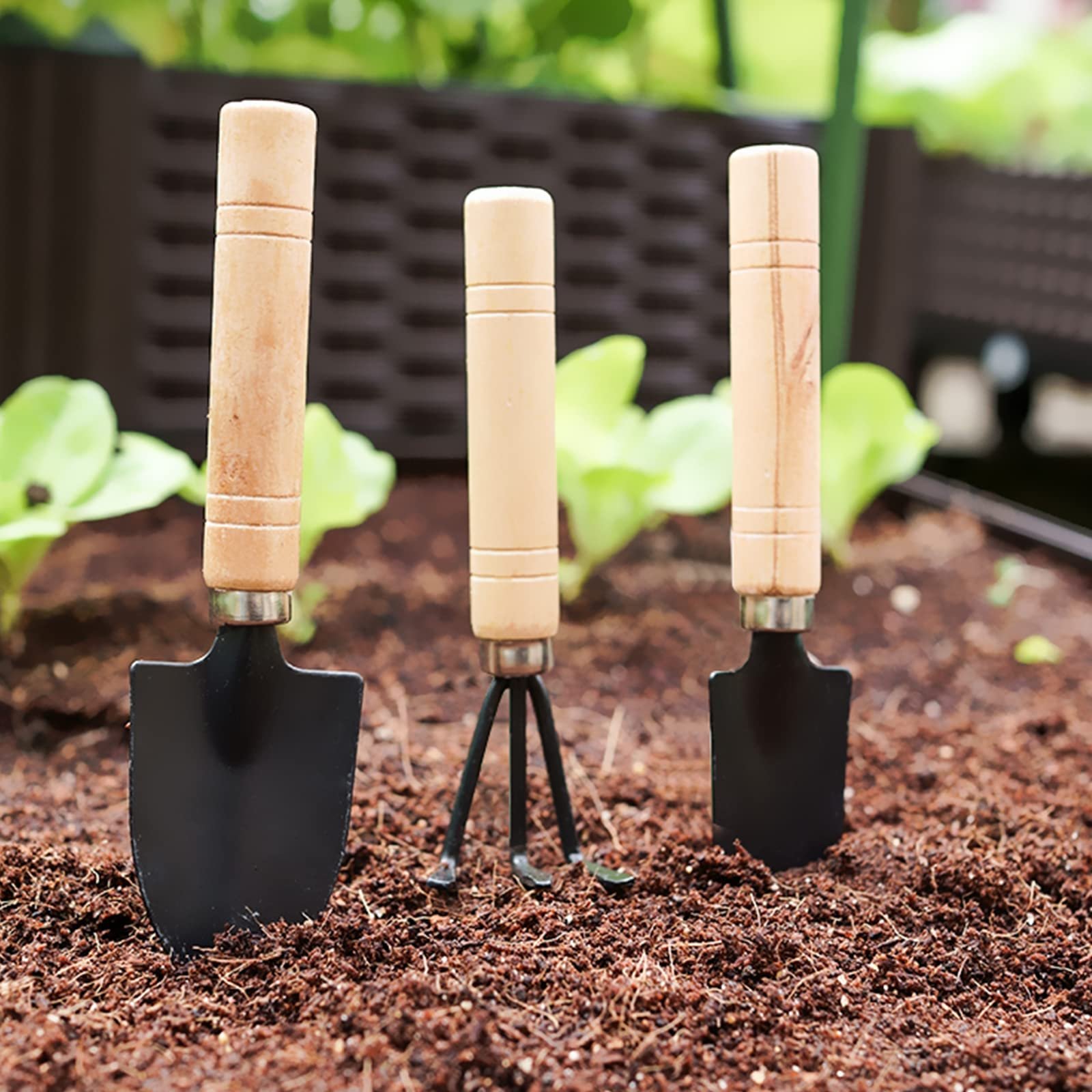 Hand Trowel