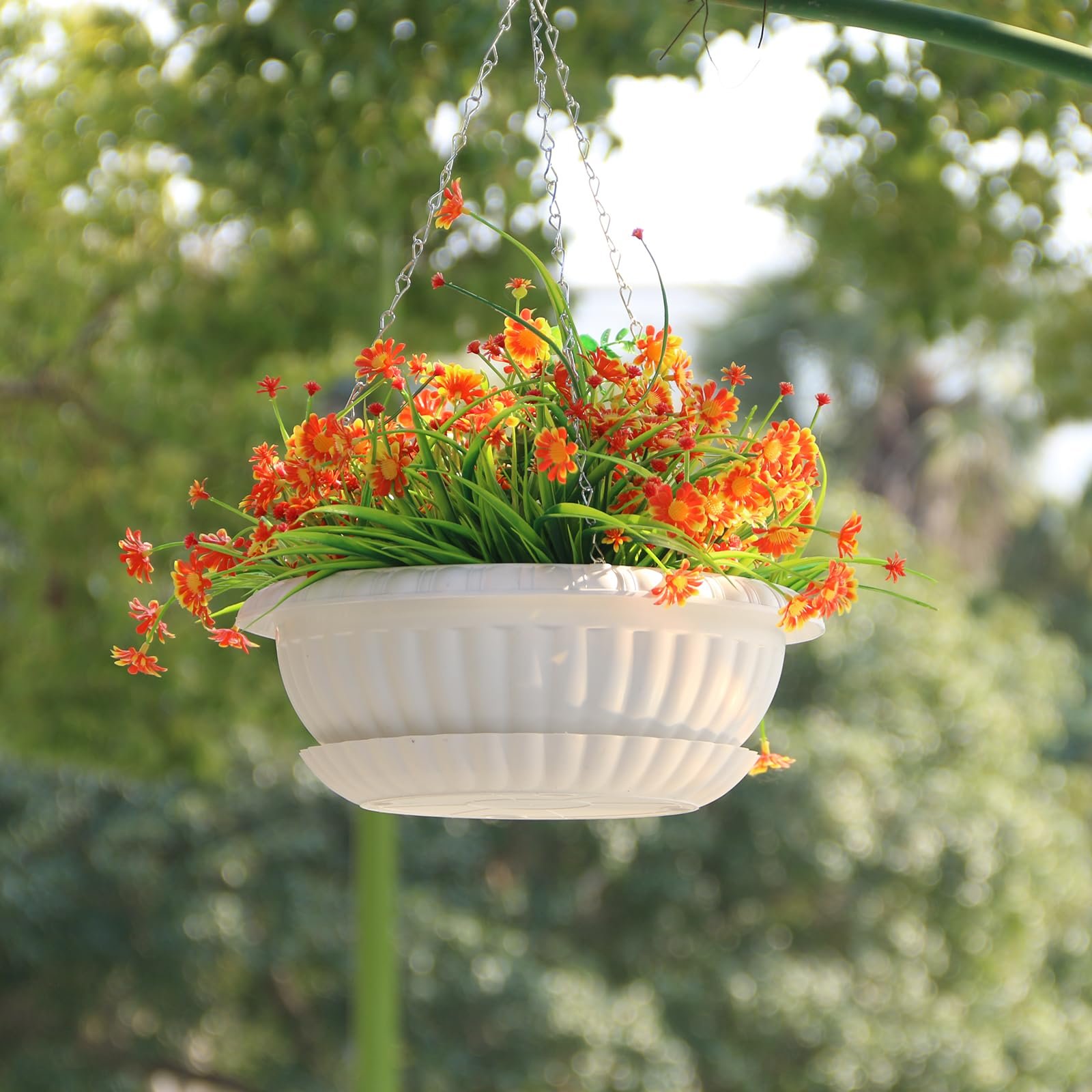Hanging Basket