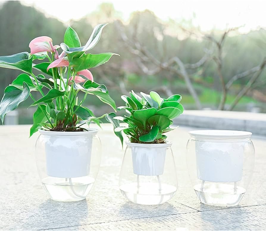 Self-Watering Pot