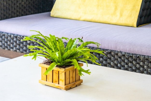 Air Plants Pots