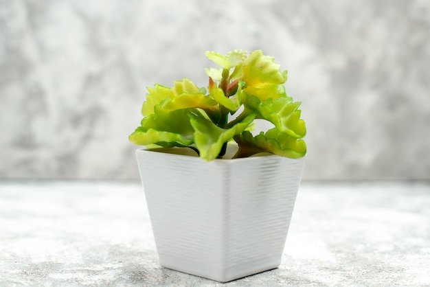 Square Plastic Pots