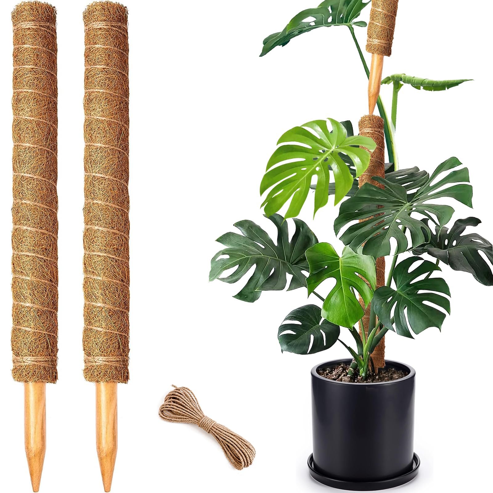 Moss Stick (Coir)