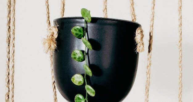 Hanging Planter Pots with Chains