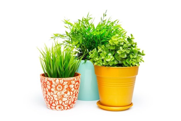 Decorative Plastic Pots
