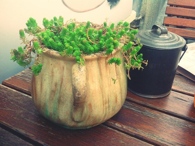 Wooden Pots