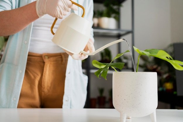Self-Watering Ceramic Pots