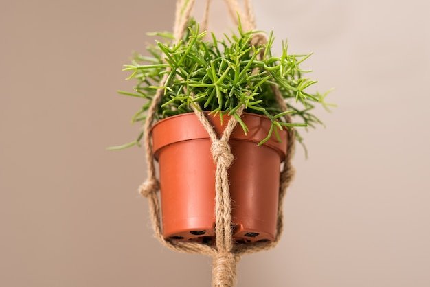 Hanging Plastic Pots