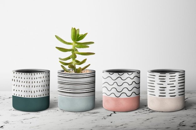 Decorative Concrete Pots