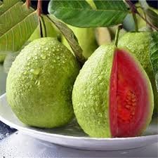 Taiwan Pink Guava