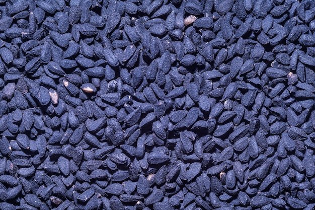 Brinjal