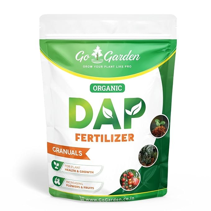 DAP (Diammonium Phosphate)
