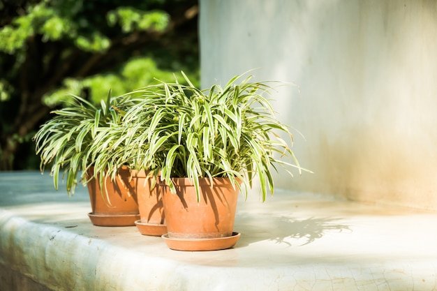 Outdoor Garden Pots