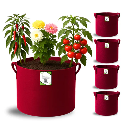 Geo Fabric Grow Bag