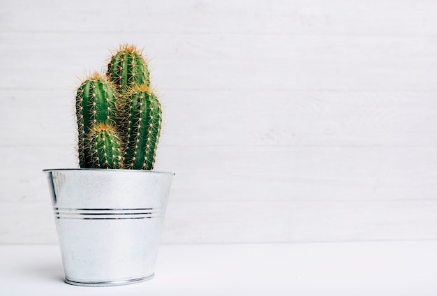 Galvanized Metal Pots