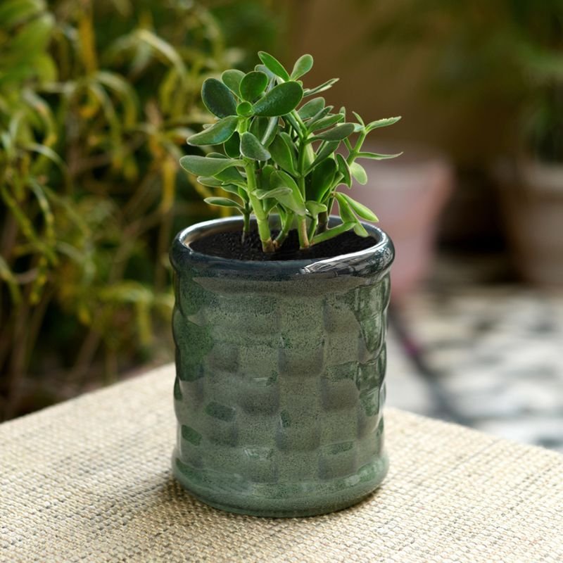 Ceramic Table Pot