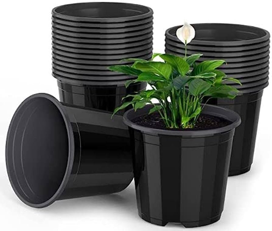 Nursery Pot (6")