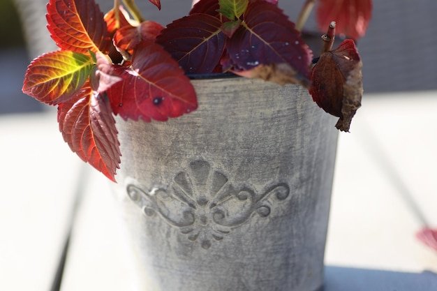 Rustic Metal Pots