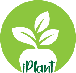 Anand Nursery
