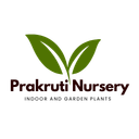 Prakriti Nursery